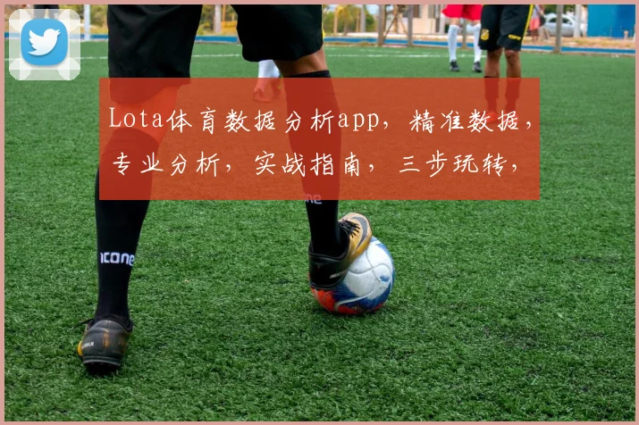 Lota体育数据分析app，精准数据，专业分析，实战指南，三步玩转，助力夺冠