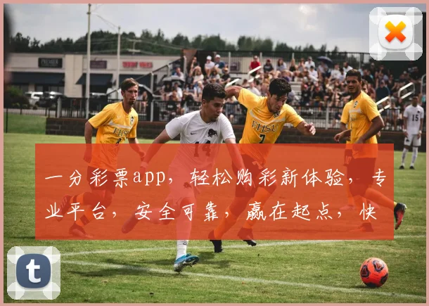 一分彩票app，轻松购彩新体验，专业平台，安全可靠，赢在起点，快来尝试