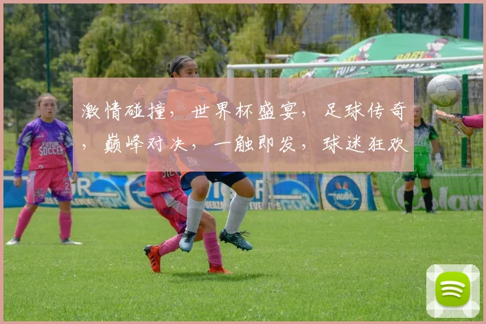 激情碰撞，世界杯盛宴，足球传奇，巅峰对决，一触即发，球迷狂欢，不容错过