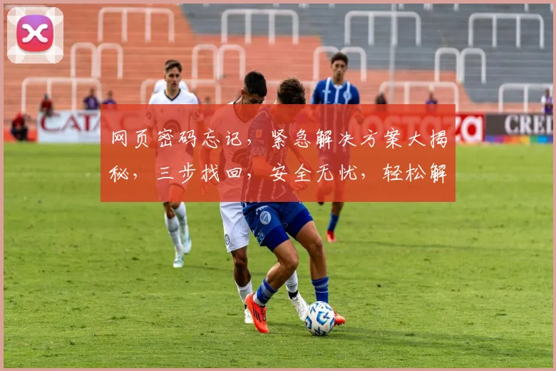 网页密码忘记，紧急解决方案大揭秘，三步找回，安全无忧，轻松解决